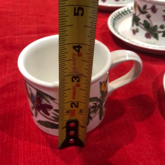 The Botanic Garden cup and saucer - Picture 11 of 12